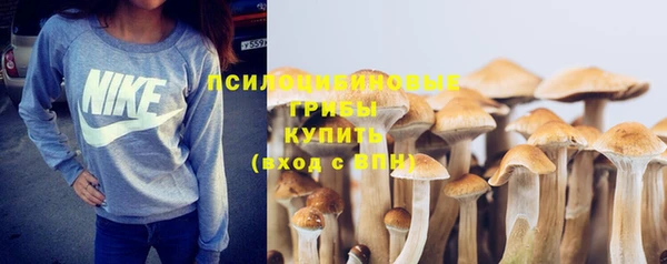 COCAINE Горно-Алтайск