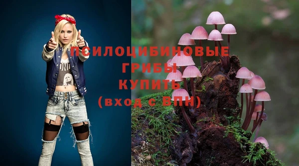 марки lsd Горняк
