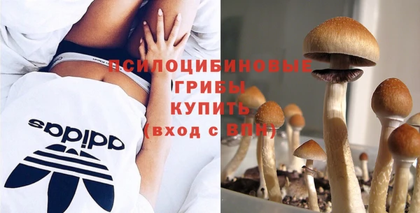 марки lsd Горняк