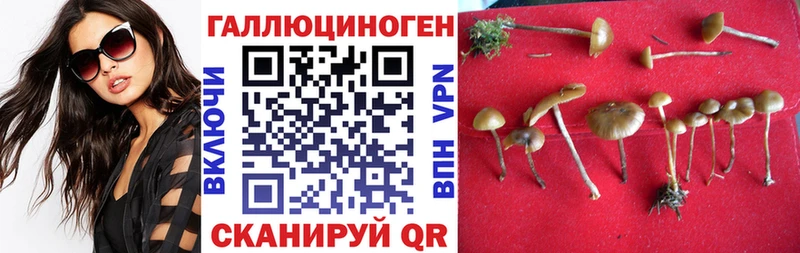 Псилоцибиновые грибы MAGIC MUSHROOMS  Купить  Никольск 